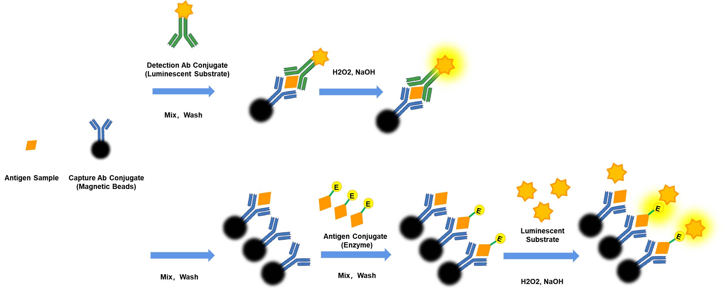 Work flow in CLIA Sandwich VS Competitive Work flow in CLIA Sandwich VS Competitive