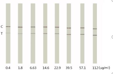 Colloidal gold-based immunochromatographic test trip Colloidal gold-based immunochromatographic test trip