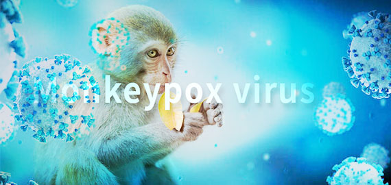 SingleB猴痘項(xiàng)目大顯身手，近100株抗體火速上新！