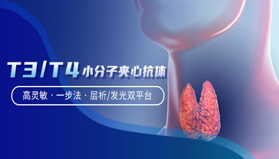 【小分子夾心法】甲功T3/T4，高靈敏&一步法