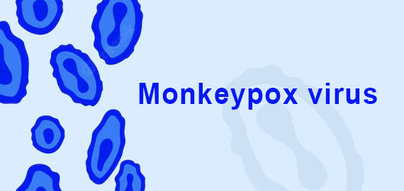 【高靈敏】猴痘診斷原料&大板助力疫情防控