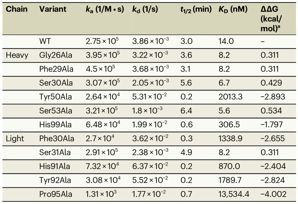 hCEACAM5A3-B3與tusa Fab相互作用的關鍵表位